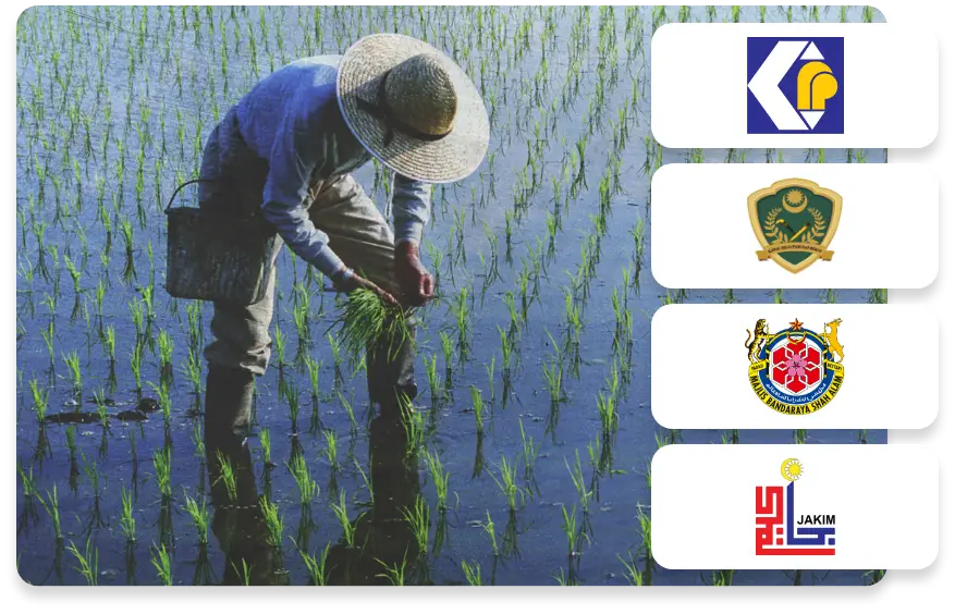 Tentang Grain Valley